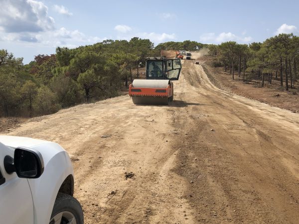 Cost of Driveway Grading in Shawnee