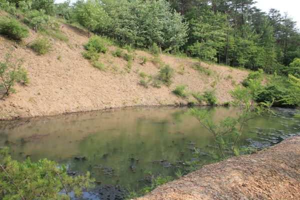 Pond Erosion Repair in Shawnee