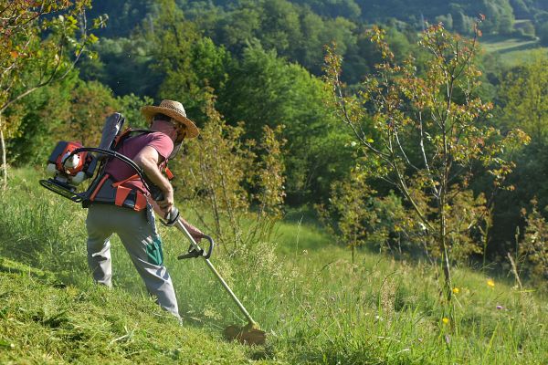 Cost of Slope Trimming in Shawnee